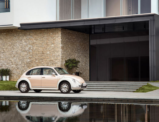 401-500KM Great Wall Motor EV ORA Ballet Cat Car 5 أبواب 5 مقاعد